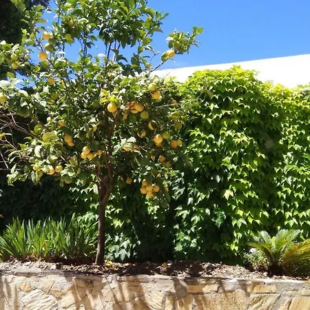 Cotobro Almuñécar